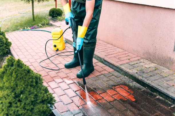 Best Commercial Building Pressure Washing  in Jellico, TN