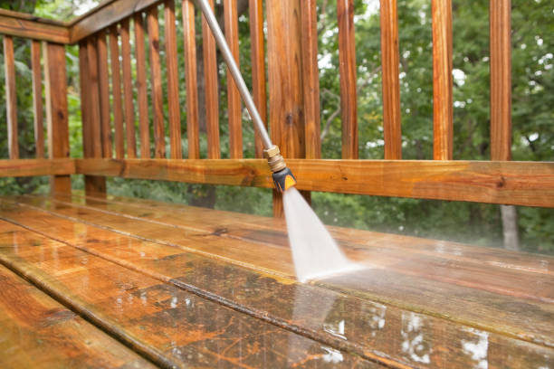 Best Roof Power Washing Services  in Jellico, TN