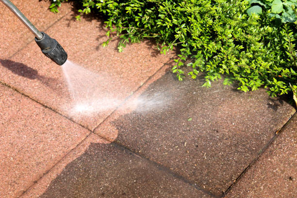 Best Residential Pressure Washing Services  in Jellico, TN